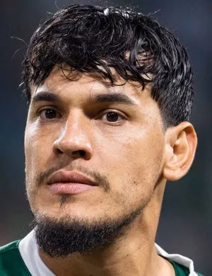 Gustavo Raúl Gómez Portillo
