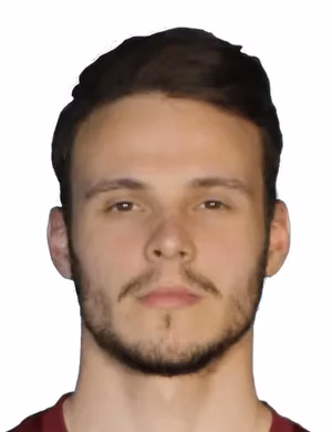 Hamza Bešić