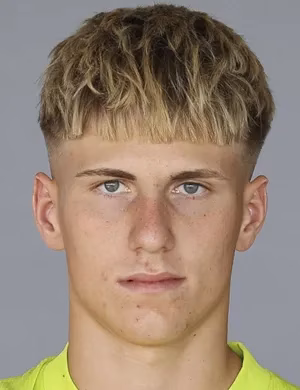 Harald Postl