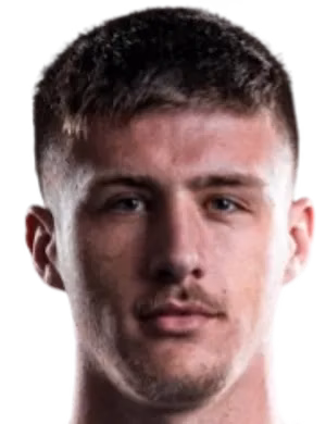 Haris Berbić