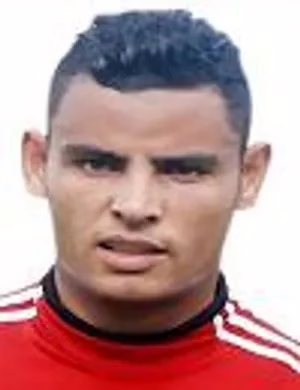 حسن محمود