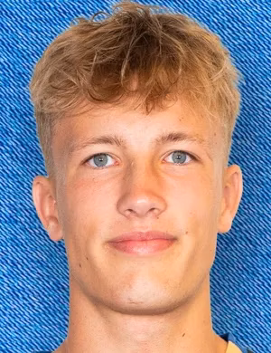 Henrik Westphal