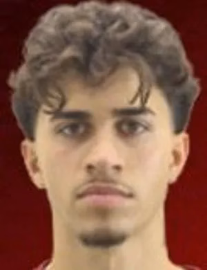 Henrique Lima Vieira Rodrigues Cruz