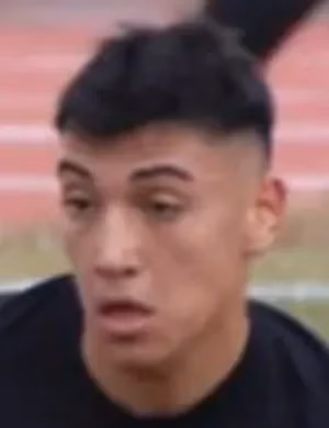 Hulusi Destici