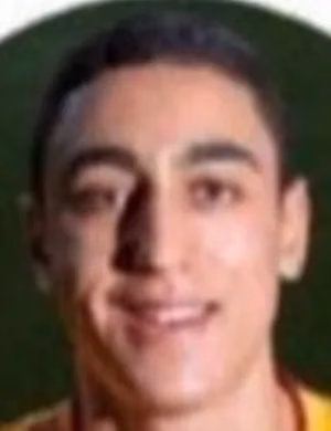 Hussein Mohamed Mehasseb