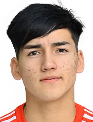 Ian Martín Subiabre