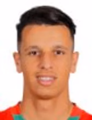 عماد الرياحي