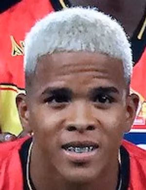 Javier Andrés Mena Márquez