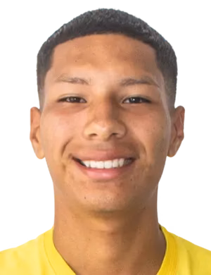 Jefferson Mendoza Loyola