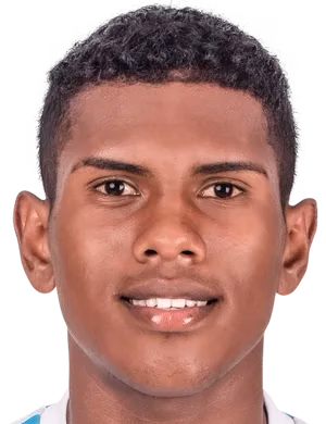 Joel Alejandro Quispe Alarcón