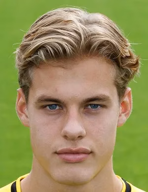 Joël van der Wilt