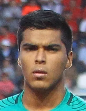 Julio Junior Bórquez Henríquez