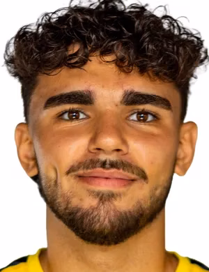 Junis Birgül