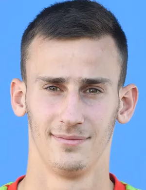 Karlo Kralj