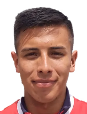 Kevin Felipe Castro Cardenas