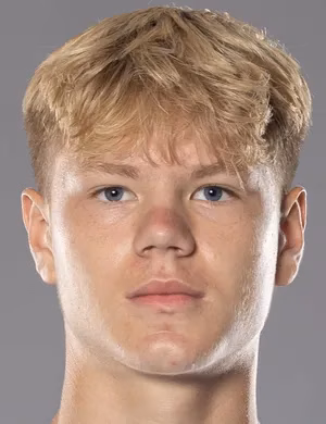 Konrad Alfes