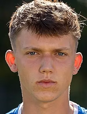Leandro Mlinarić