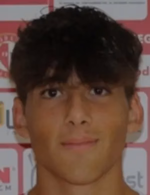 Luca Minozzi