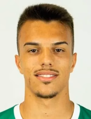 Luís Afonso Azevedo Silva