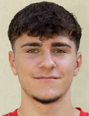 Luka Mirkovic