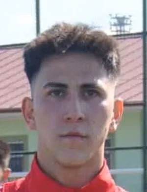 Mahmut Mavili