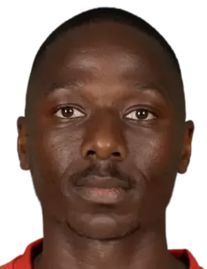 Mamadou Kamissoko