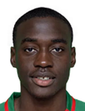 Mamadou Sekou Traoré