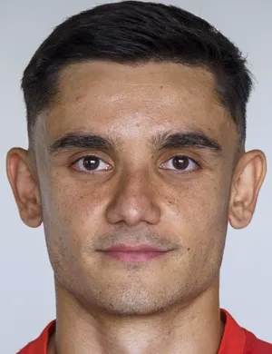 Manuel Botic