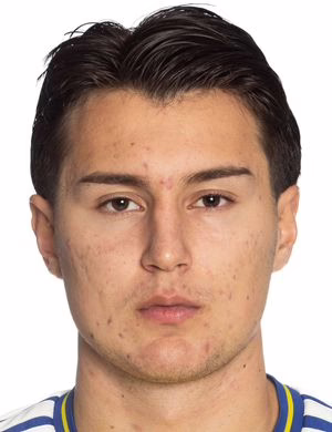 Mario Vladimir Amini