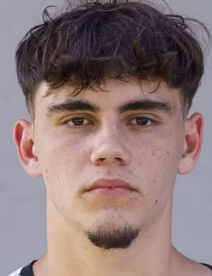 Mario Mandl