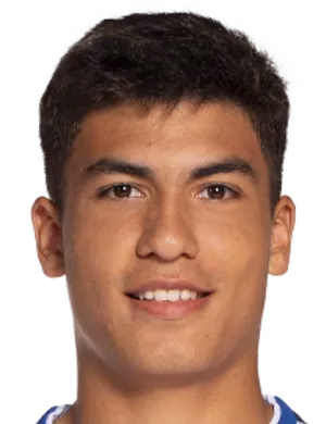Martim de Araújo Cunha