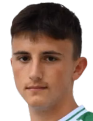 Мартин Миленов Банев