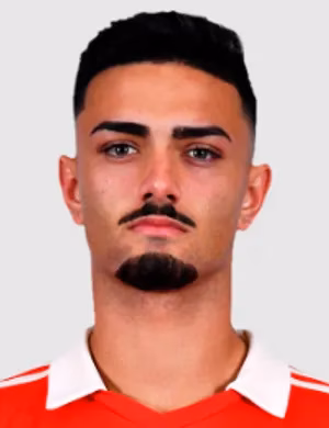 Matheus Alfredo Cadorini da Silva