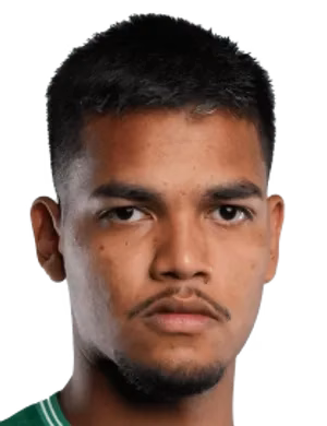 Matheus Henrique Santos Sampaio