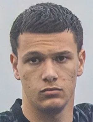 Mathys Sauveur Niflore