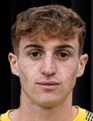 Matteo Dubini