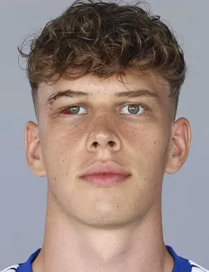 Maximilian Fillafer