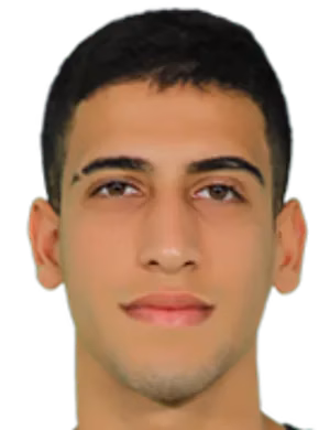 Mehmet Albayrak