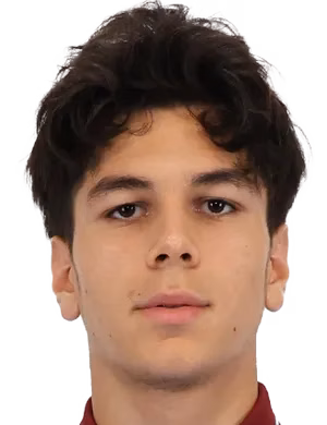 Mehmet Emir Mezereli