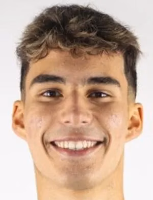 Miguel Afonso Alves Domingos