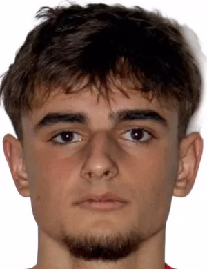 Mihai Alexandru Dohatcă