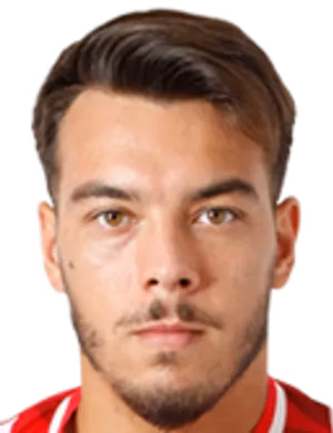 Mihai Alexandru Neicuţescu