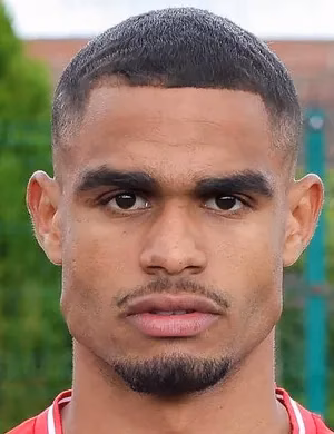 Mikaël Yann Mathieu Mandron