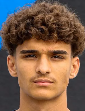 Mikail Erdem Sentürk