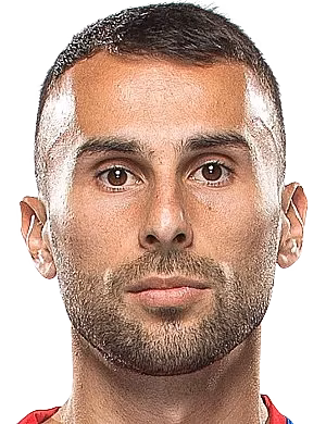 Милан Гајић