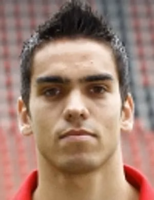 Milan Hoek