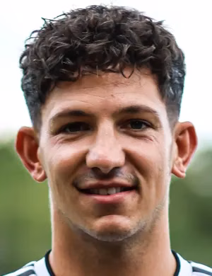Mirco Luigi Zavaglia