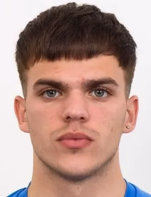 Mislav Petrović