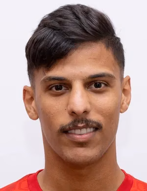 Mohamed Adel Mohamed Ali Hasan