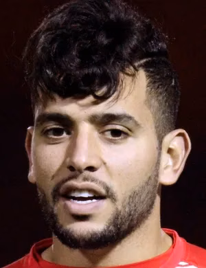 محمد أمين بن عمر